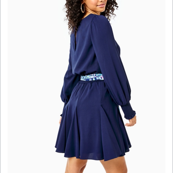 NWT Lilly Pulitzer Lorella stretch dress sz. 0/XS Sash belt 🚫 not included. - Picture 4 of 11